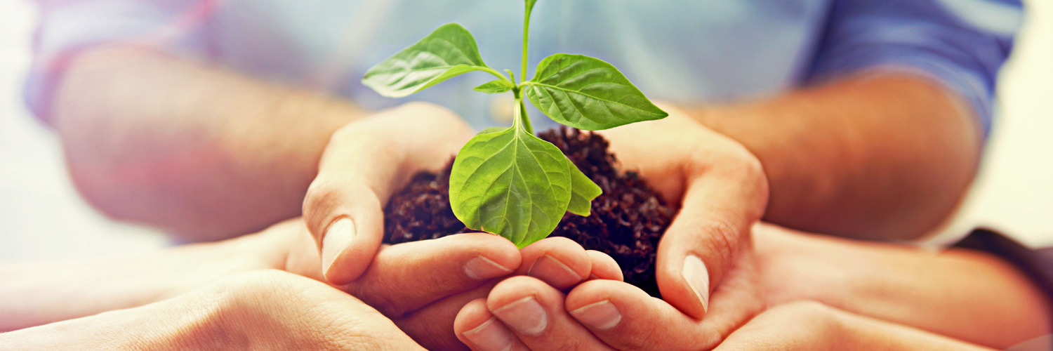 Sustainability Weeks 2021