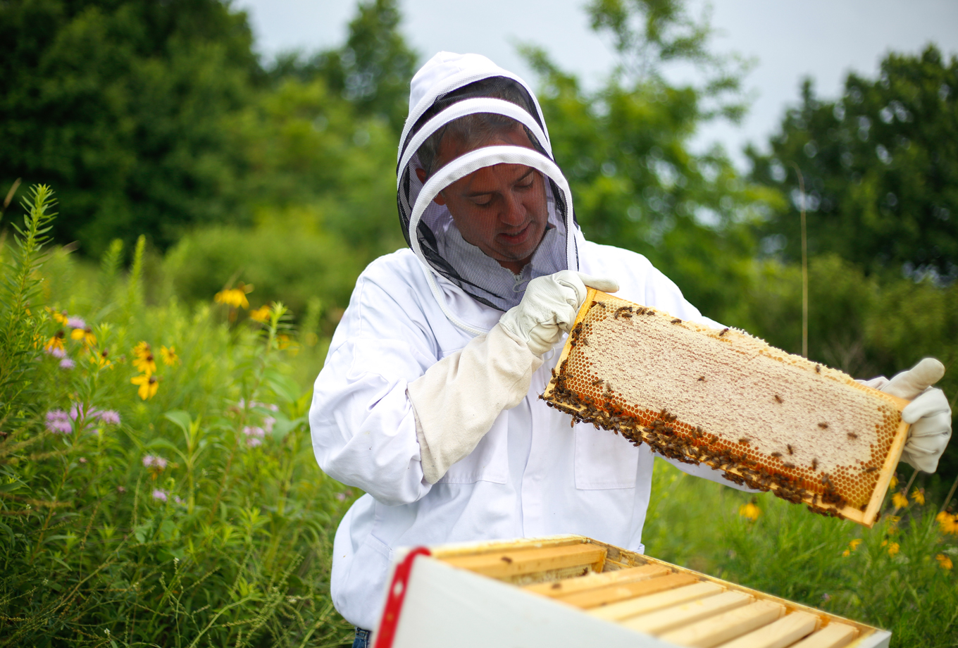 A local beekepper shows how honey is made - one of many activities near Honey Creek Resort